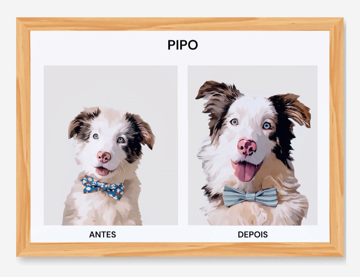 Antes & Depois