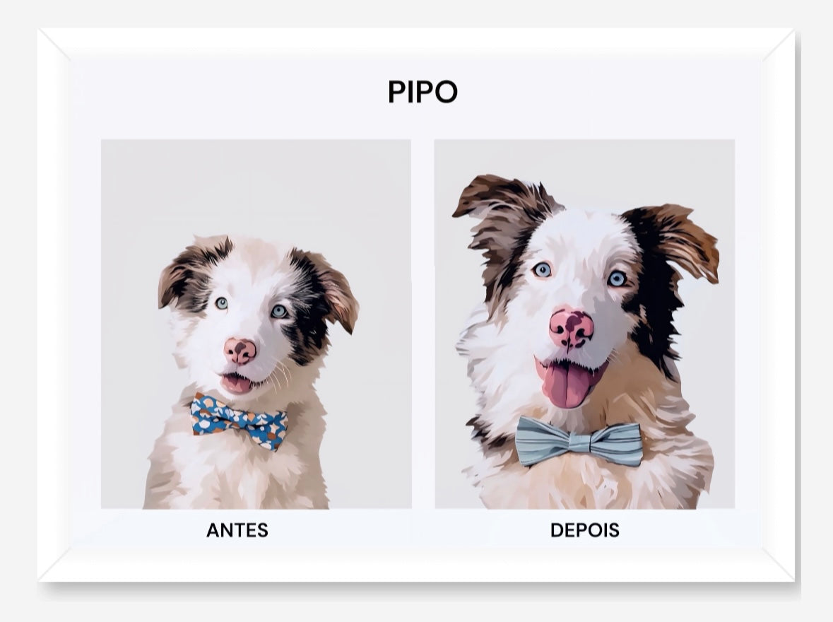 Antes & Depois